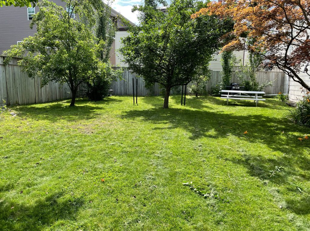 Libby House — Awesome yard