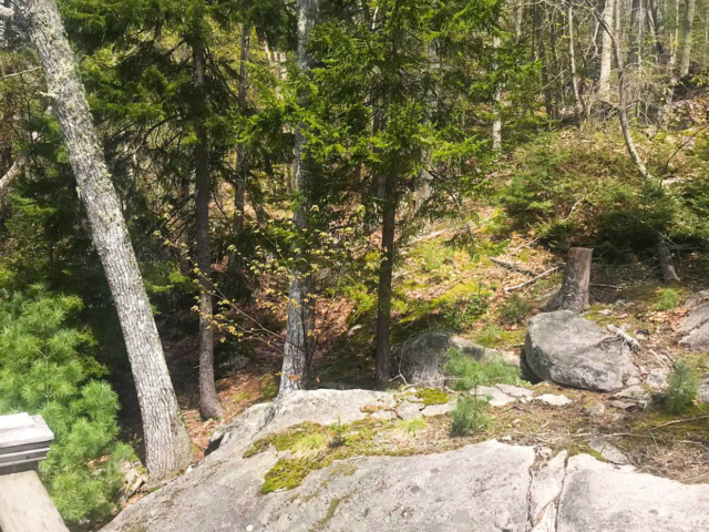 The Ledges