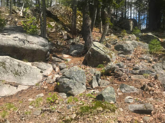 The Ledges