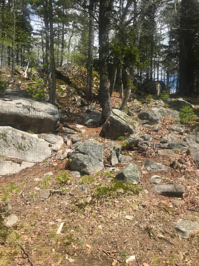 The Ledges — The Ledges