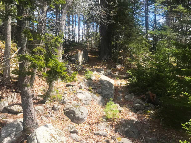 The Ledges