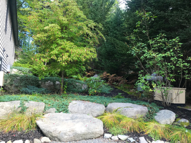 The Ledges