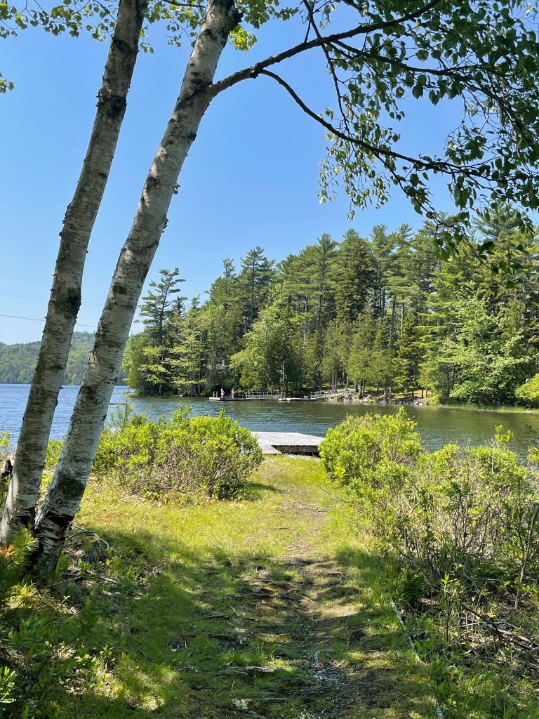 Lakeside Haven — Path to dock
