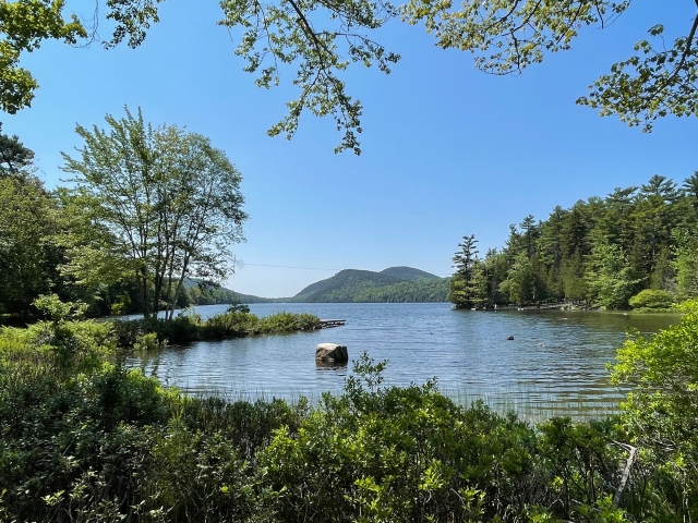 Lakeside Haven