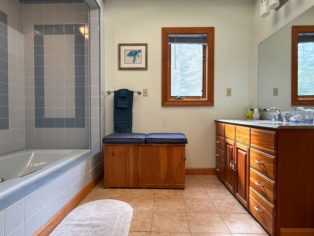 Master bathroom