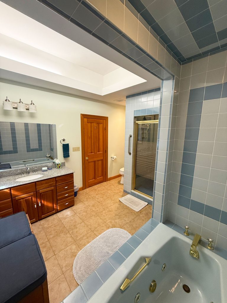 Master bathroom