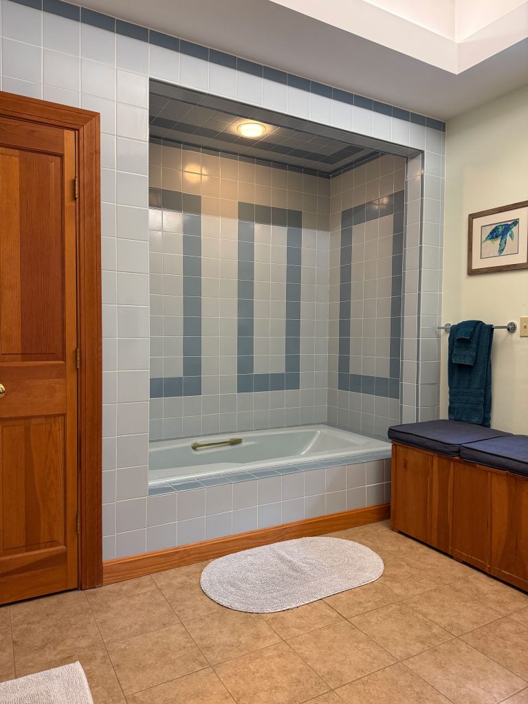 Master bathroom