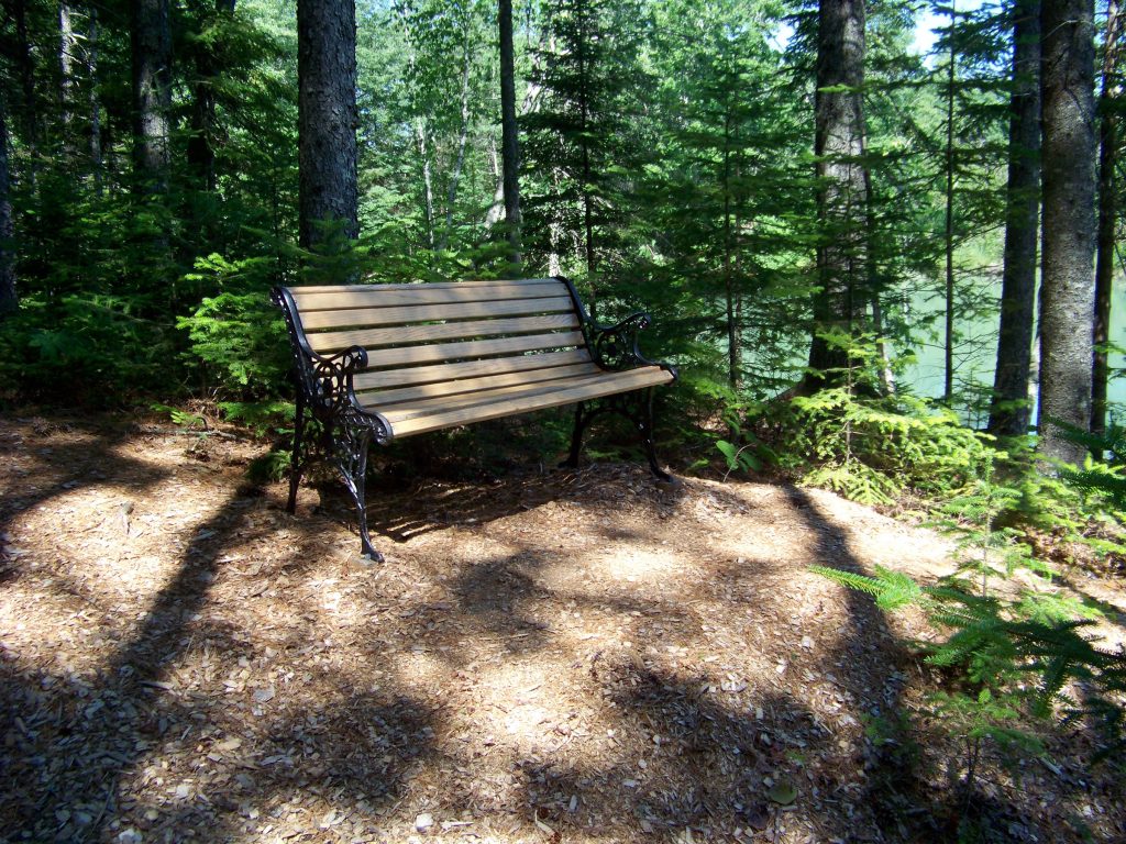 Bench