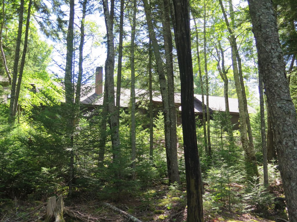 Exterior woods