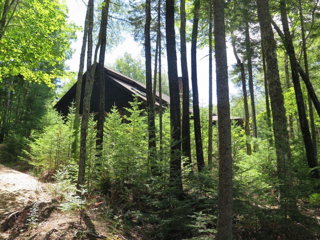 Martin Cove — Exterior woods