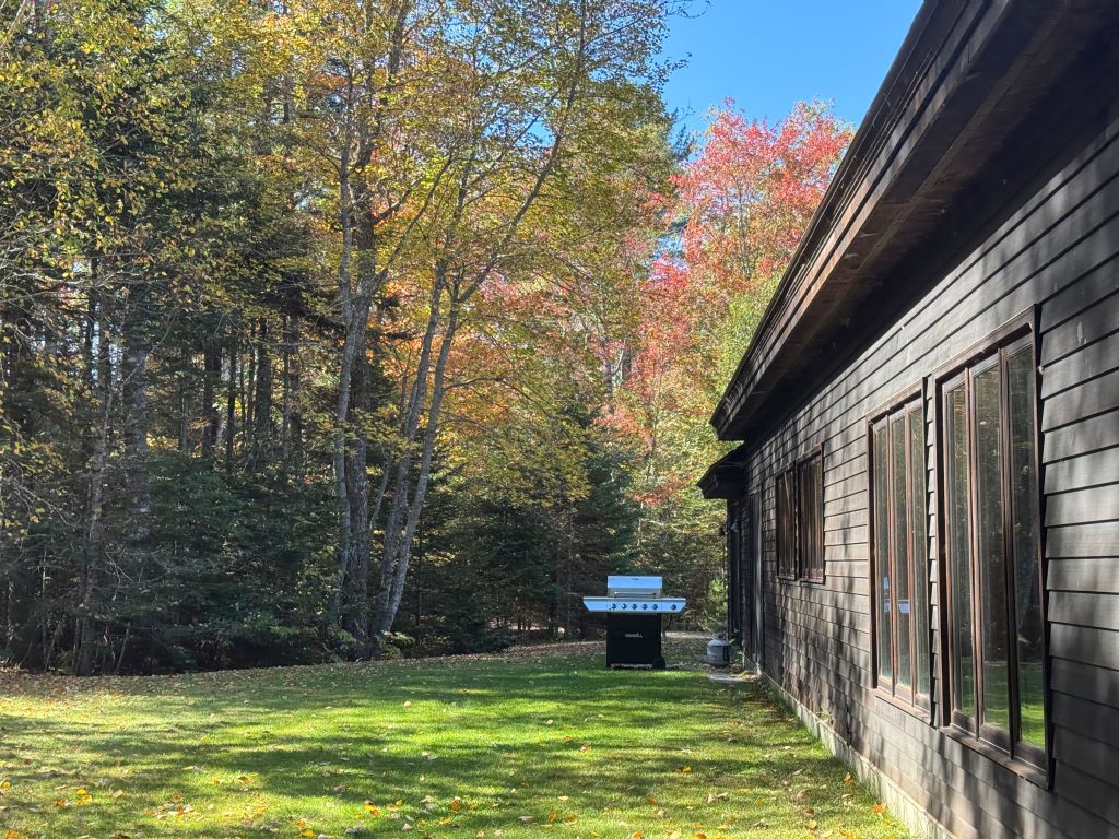 Yard in fall