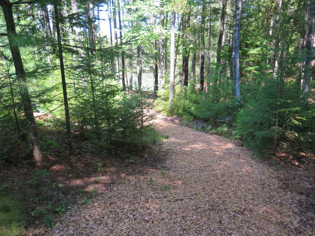Path