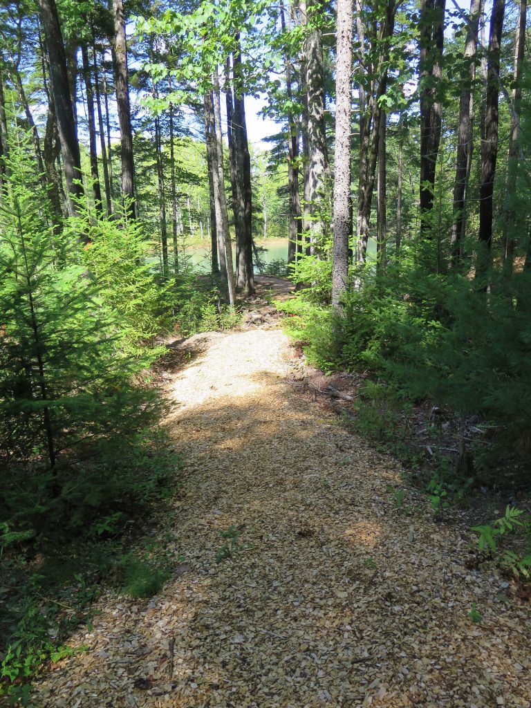 Path