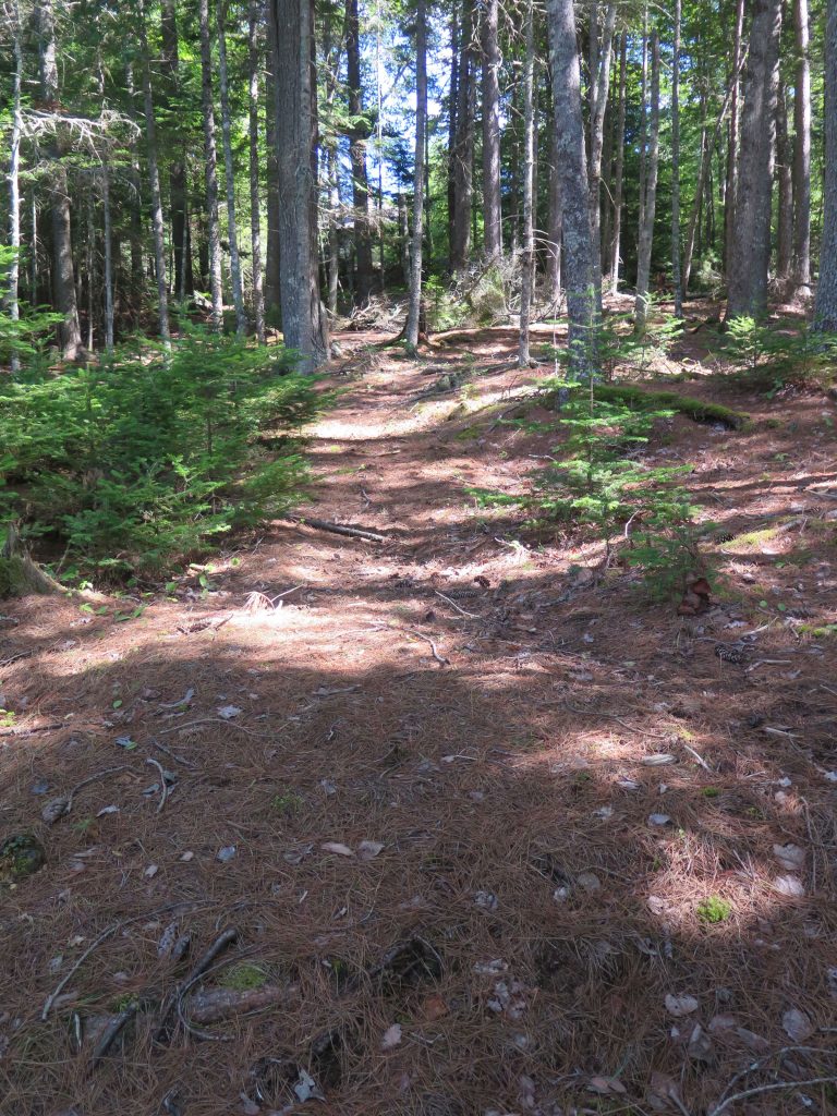 Path