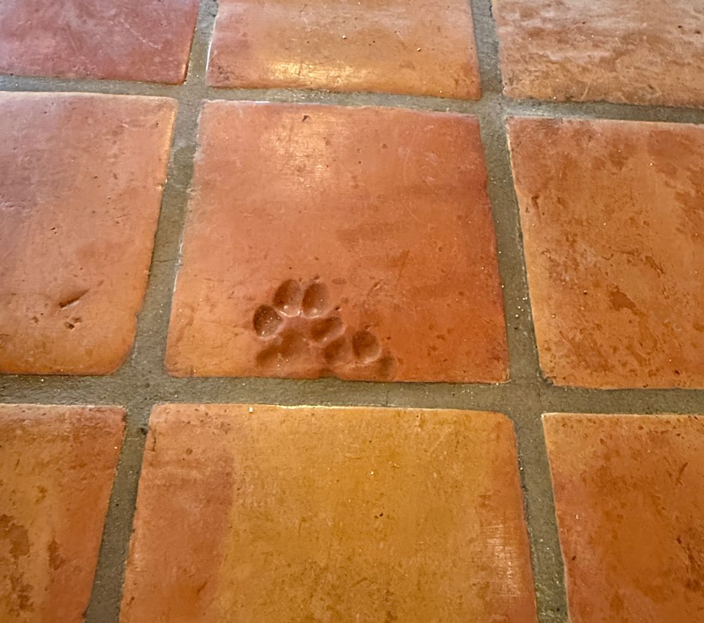 Paw prints