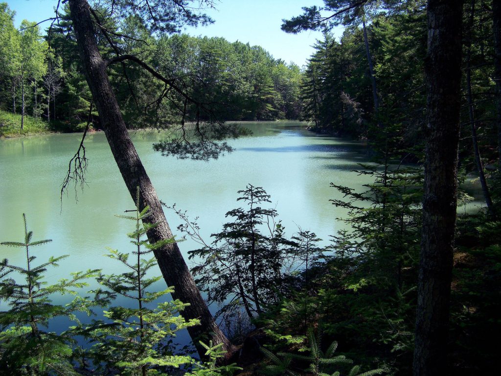 Shore cove