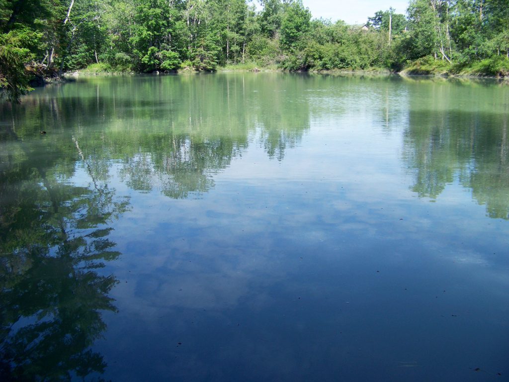 Shore cove