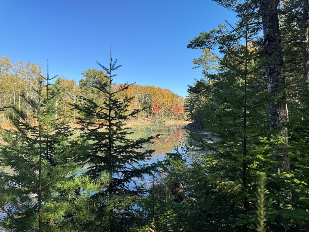 Shore in fall