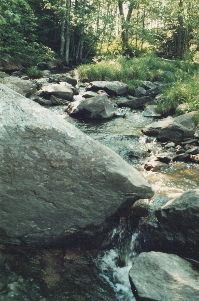 Stream