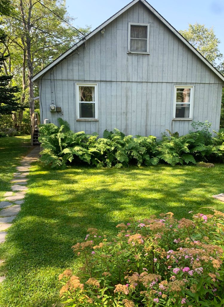 Rear of cottage