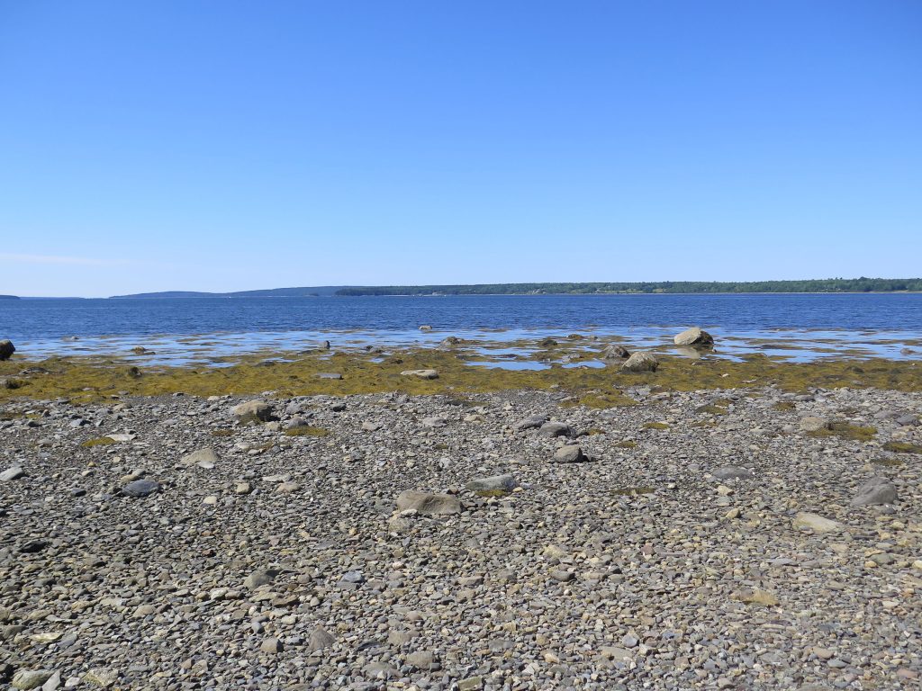 Shore