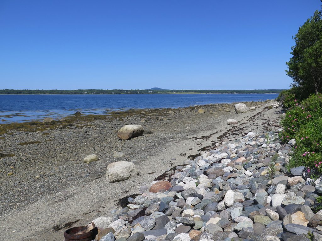 Olson Beach Camp — Shore