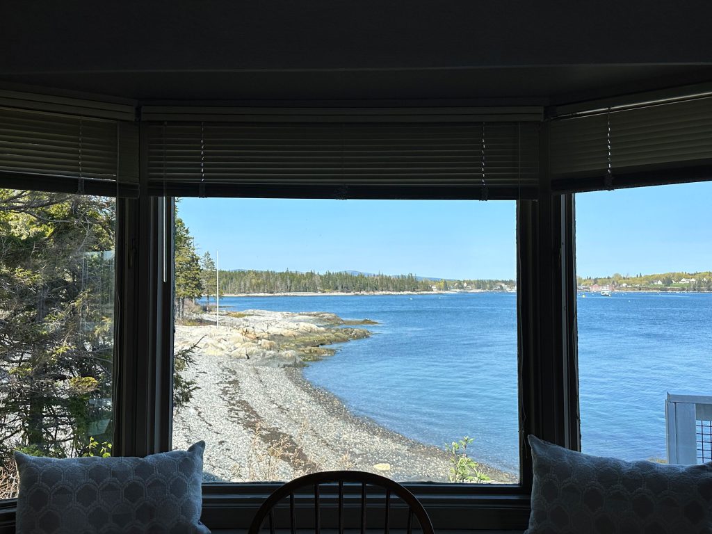 View from dining area