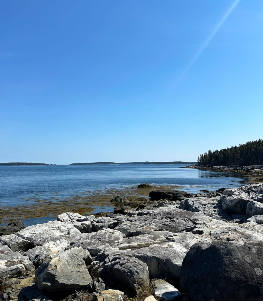 Old Point Seaside — Shore