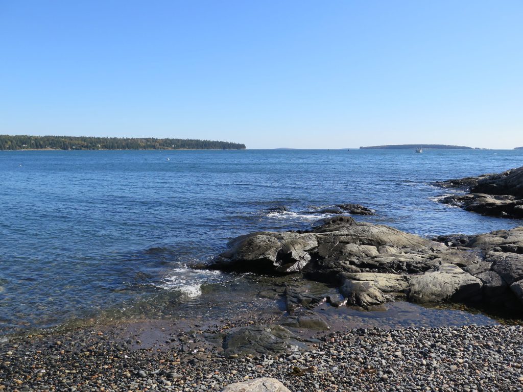 Shore