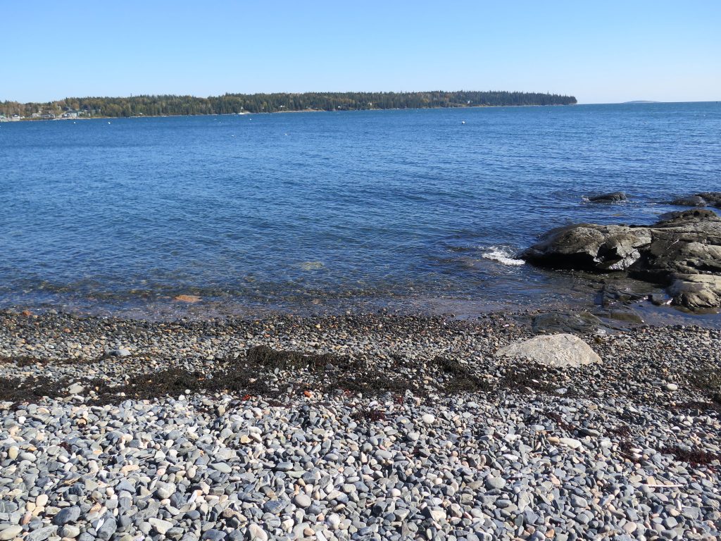 Shore