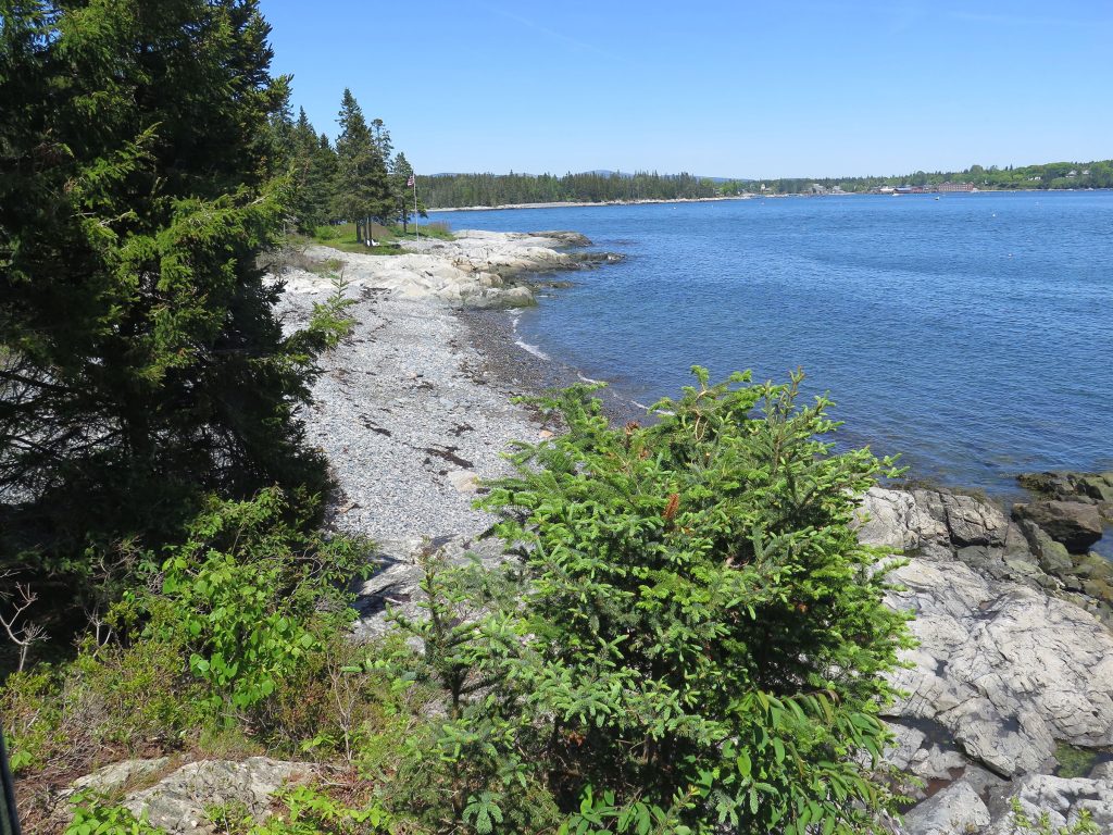 Shore and beach