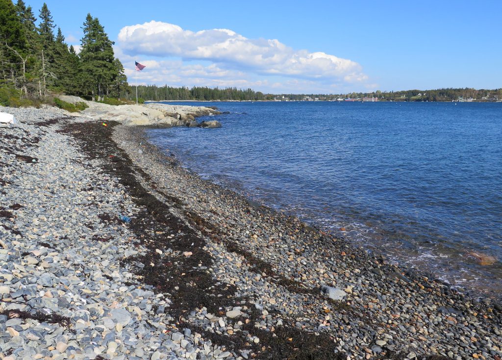 Shore and beach