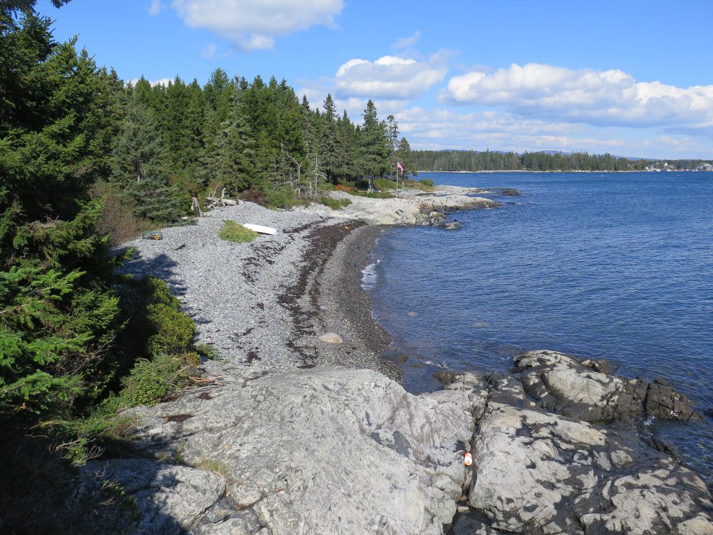 Shore and beach