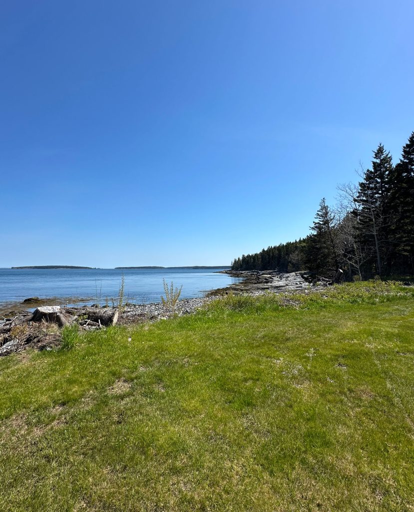 Yard and shore