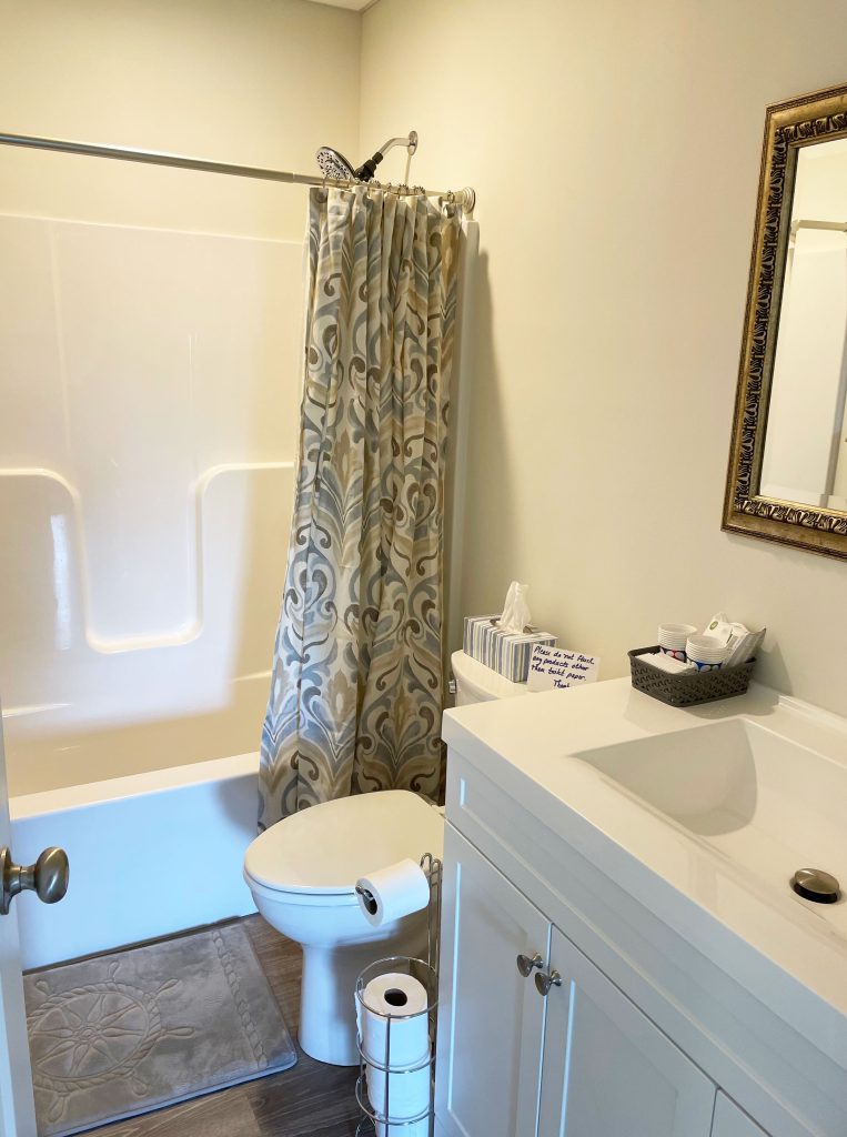 OR-bath-LL Lower level bathroom