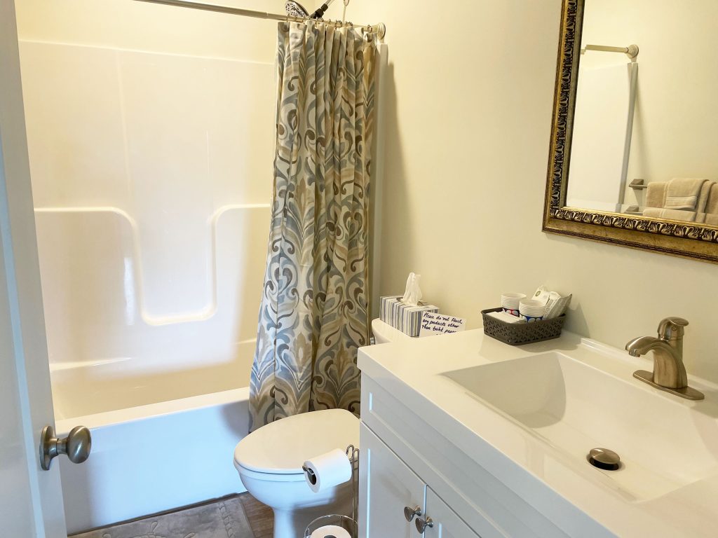 OR-bath-LL2 Lower level bathroom