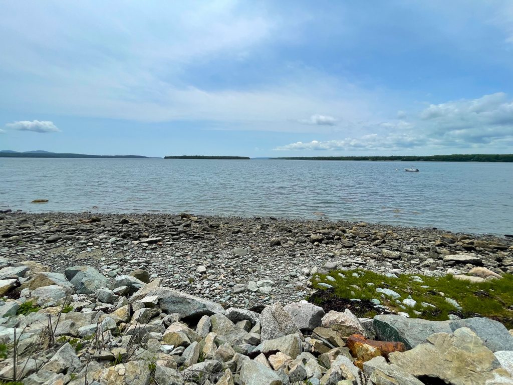 Shore