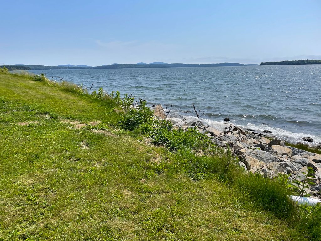 Shore