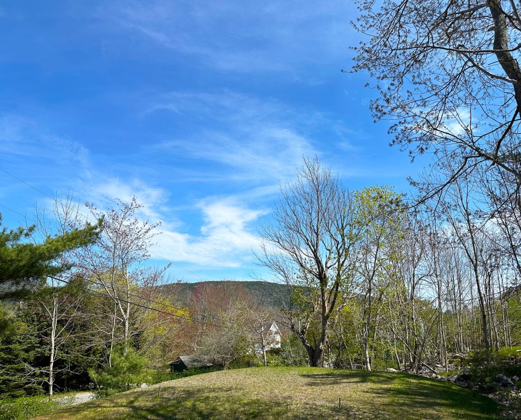 View from yard (spring)