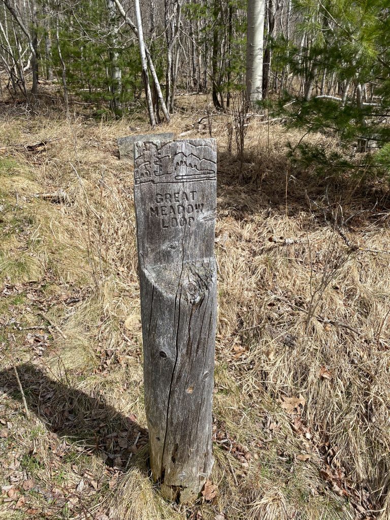 Walk to Great Meadow trail