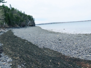 Shoreline