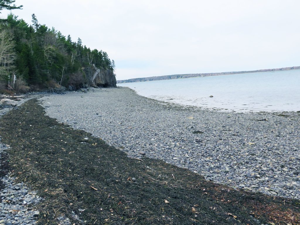 Shoreline