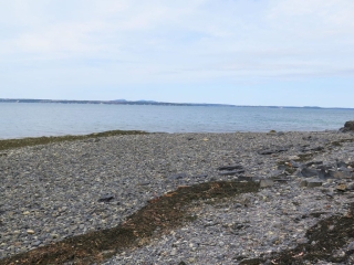 Shoreline