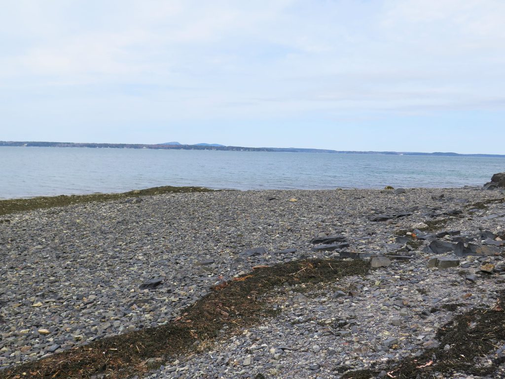 Shoreline