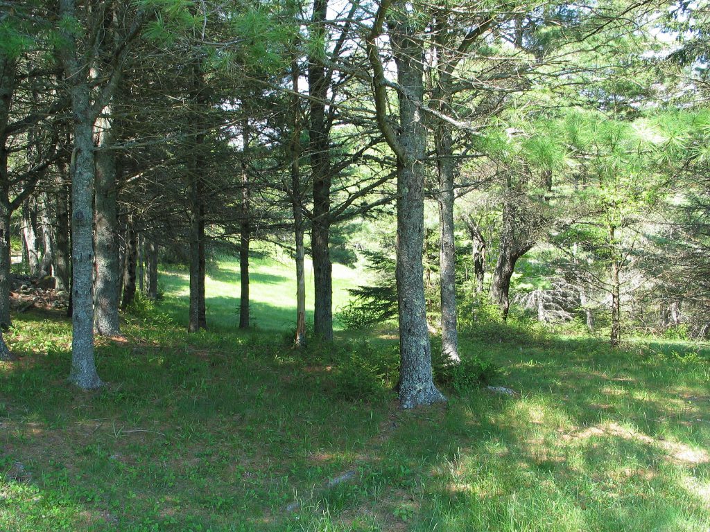 Richardson Farm Retreat