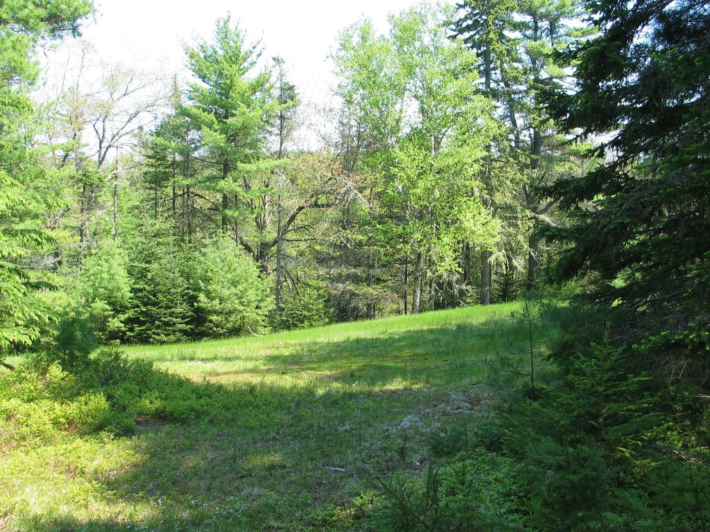 Richardson Farm Retreat