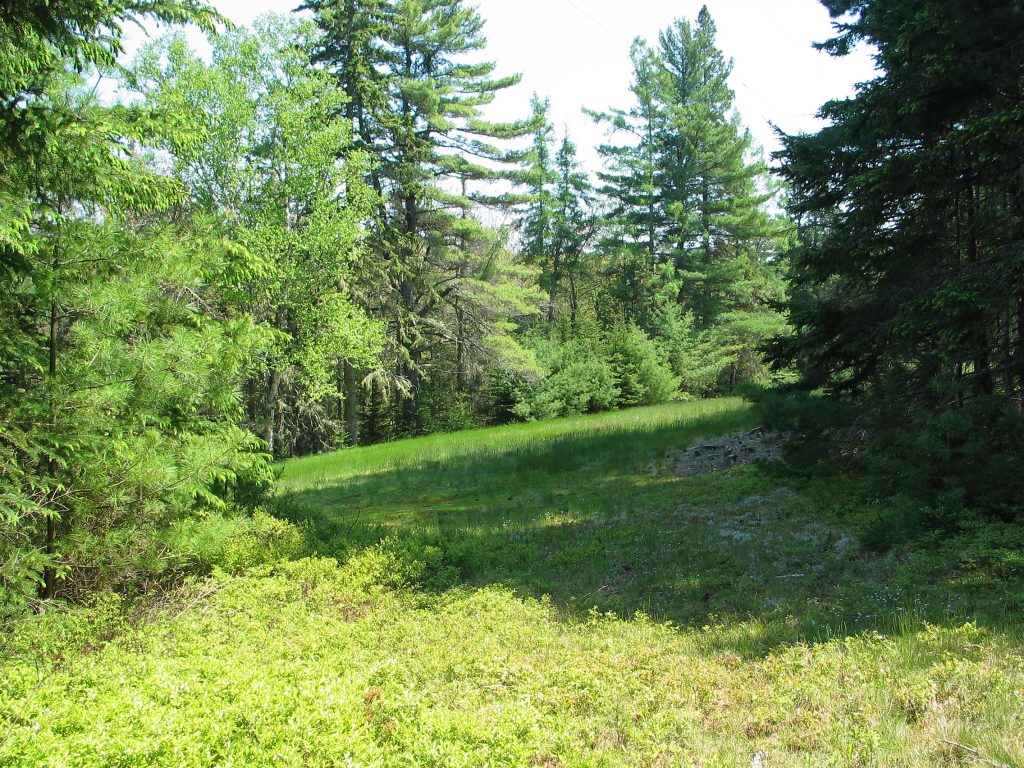 Richardson Farm Retreat