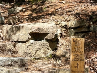 South of Eden