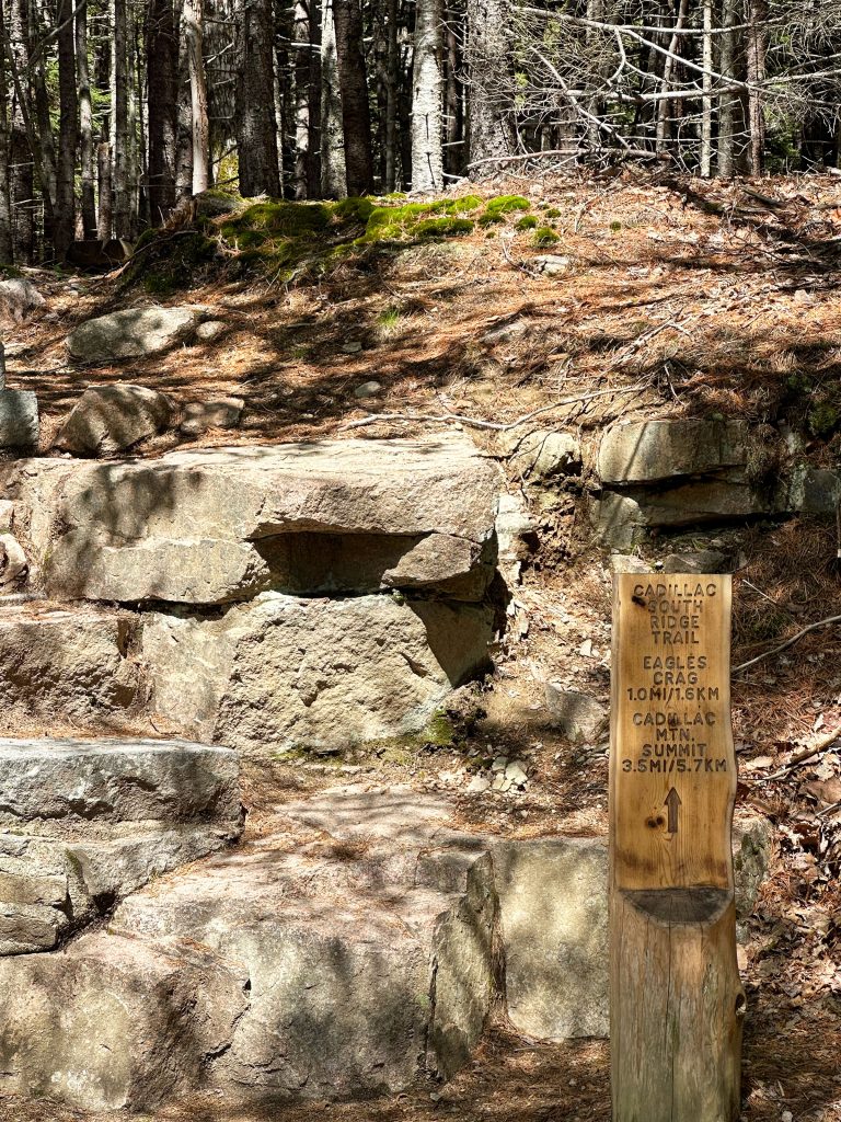 South of Eden
