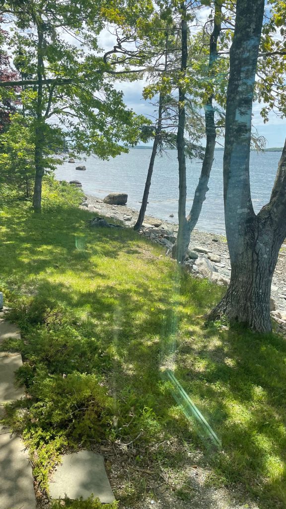 Shore Enuf
